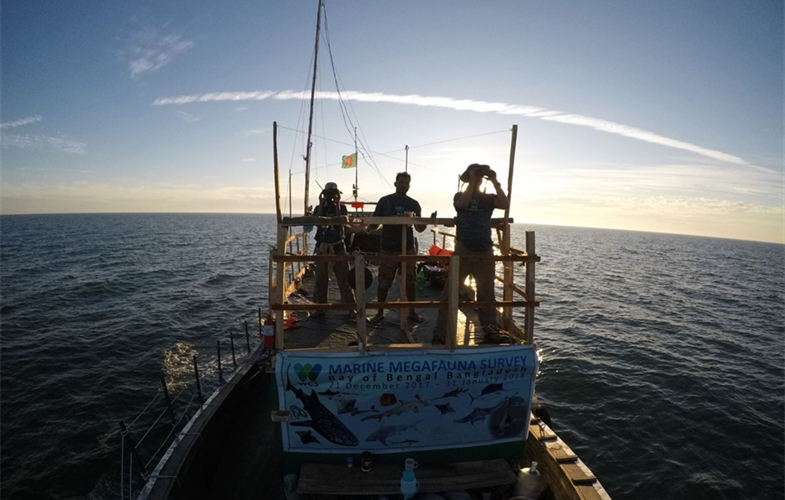 WCS survey team looking for marine mammals in St. Martin's Island MPA CREDIT: WCS Bangladesh